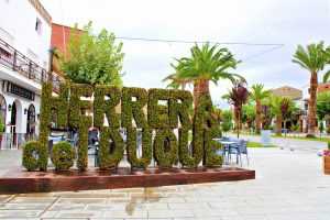 Palm Tree Walk, Herrera del Duque