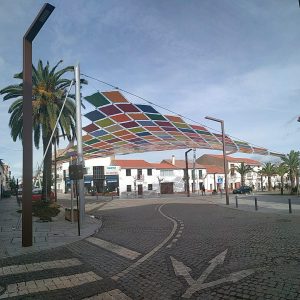 Palm Tree Walk, Herrera del Duque