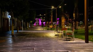 Palm Tree Walk, Herrera del Duque