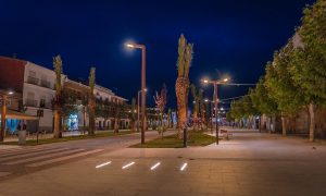 Palm Tree Walk, Herrera del Duque