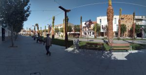 Palm Tree Walk, Herrera del Duque