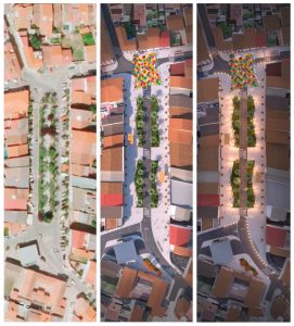 Palm Tree Walk, Herrera del Duque