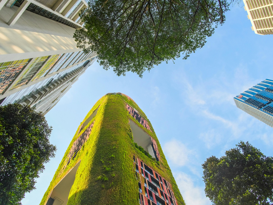 Planeamiento urbanístico